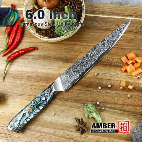 67 layer Damascus Steel Knife Chef Knife Vg10 Abalone Shell - Temu